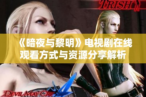 《暗夜与黎明》电视剧在线观看方式与资源分享解析