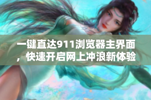 一键直达911浏览器主界面，快速开启网上冲浪新体验