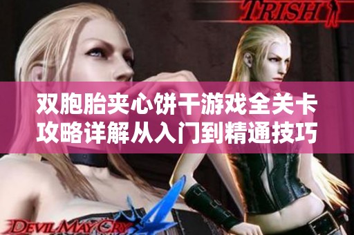 双胞胎夹心饼干游戏全关卡攻略详解从入门到精通技巧分享