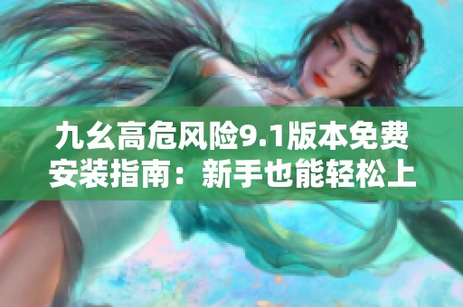 九幺高危风险9.1版本免费安装指南：新手也能轻松上手的操作体验