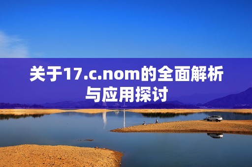 关于17.c.nom的全面解析与应用探讨
