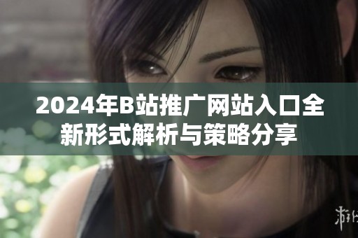 2024年B站推广网站入口全新形式解析与策略分享