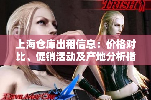 上海仓库出租信息：价格对比、促销活动及产地分析指南