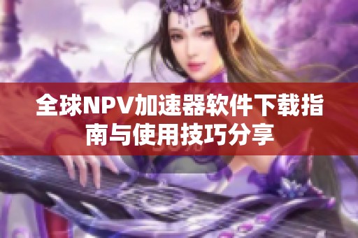 全球NPV加速器软件下载指南与使用技巧分享