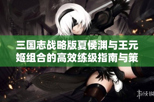 三国志战略版夏侯渊与王元姬组合的高效练级指南与策略解析