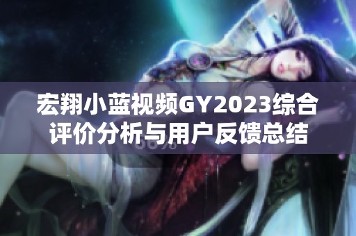 宏翔小蓝视频GY2023综合评价分析与用户反馈总结