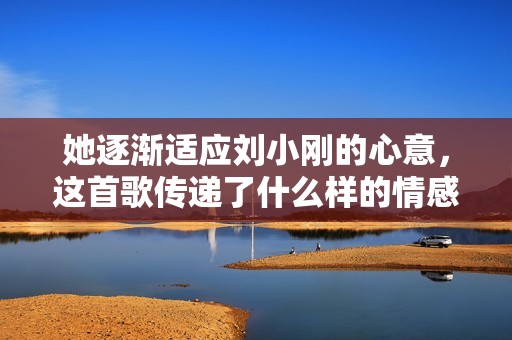 她逐渐适应刘小刚的心意，这首歌传递了什么样的情感