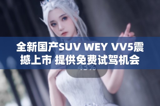 全新国产SUV WEY VV5震撼上市 提供免费试驾机会