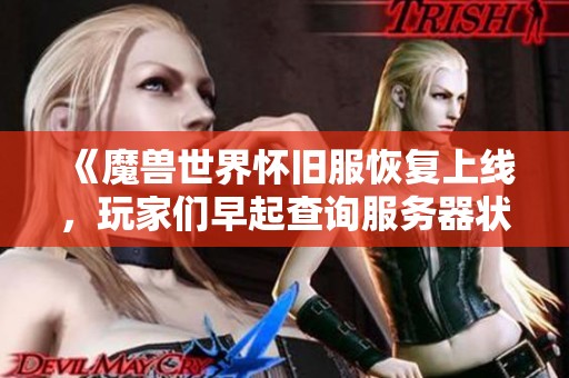 《魔兽世界怀旧服恢复上线，玩家们早起查询服务器状态热情高涨》