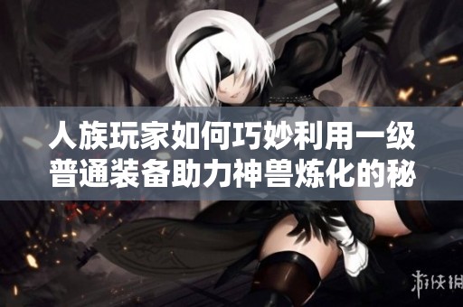 人族玩家如何巧妙利用一级普通装备助力神兽炼化的秘诀揭秘