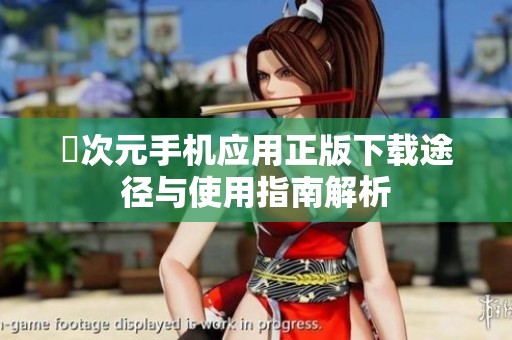 囧次元手机应用正版下载途径与使用指南解析