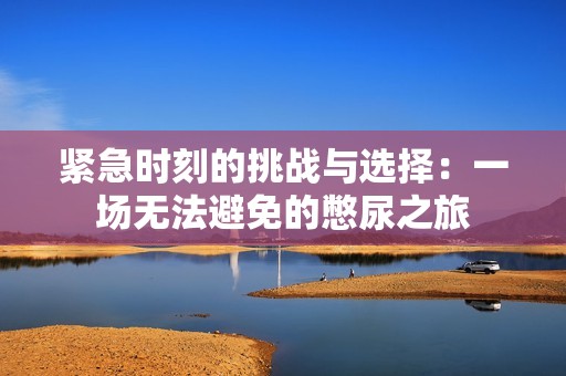 紧急时刻的挑战与选择：一场无法避免的憋尿之旅