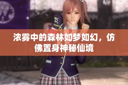 浓雾中的森林如梦如幻，仿佛置身神秘仙境