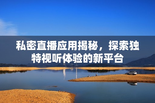 私密直播应用揭秘，探索独特视听体验的新平台