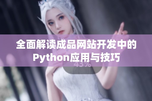 全面解读成品网站开发中的Python应用与技巧
