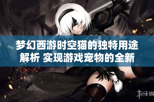 梦幻西游时空猫的独特用途解析 实现游戏宠物的全新价值
