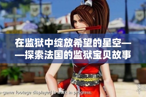 在监狱中绽放希望的星空——探索法国的监狱宝贝故事