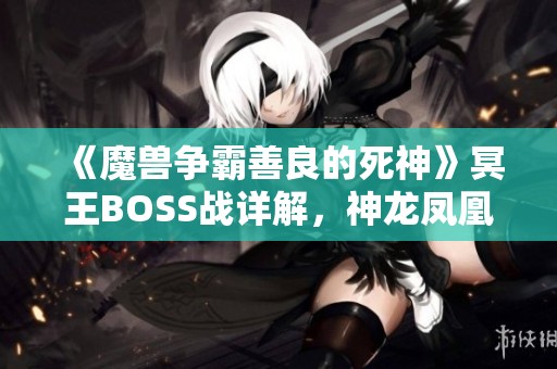 《魔兽争霸善良的死神》冥王BOSS战详解，神龙凤凰炽玄套装攻略之旅