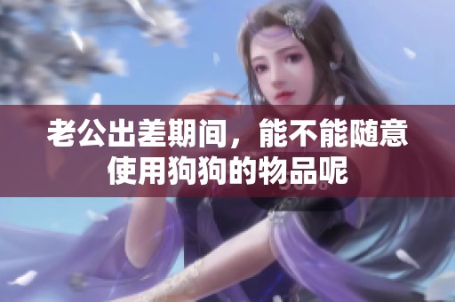 老公出差期间，能不能随意使用狗狗的物品呢