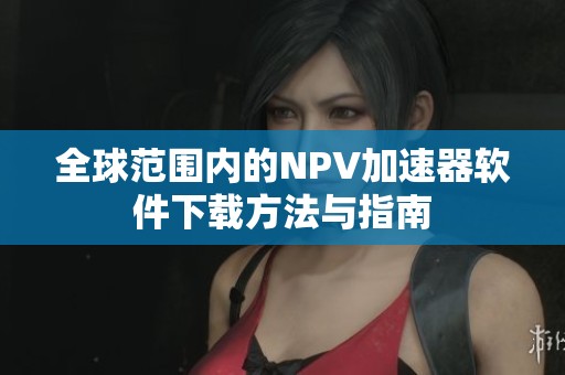 全球范围内的NPV加速器软件下载方法与指南