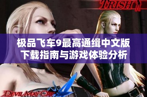 极品飞车9最高通缉中文版下载指南与游戏体验分析