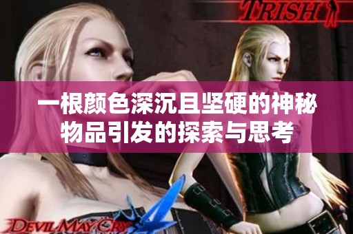 一根颜色深沉且坚硬的神秘物品引发的探索与思考