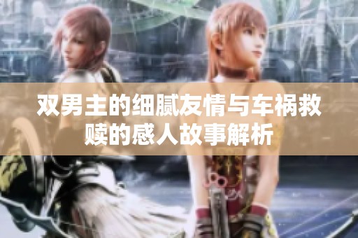 双男主的细腻友情与车祸救赎的感人故事解析