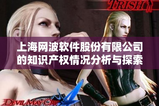 上海网波软件股份有限公司的知识产权情况分析与探索