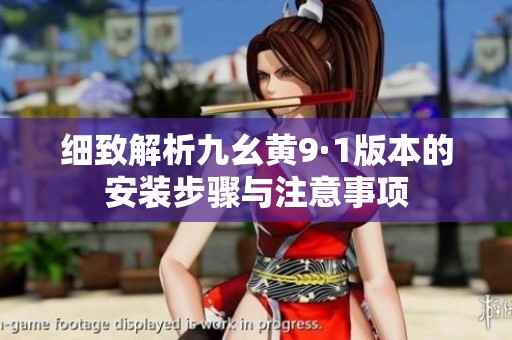 细致解析九幺黄9·1版本的安装步骤与注意事项