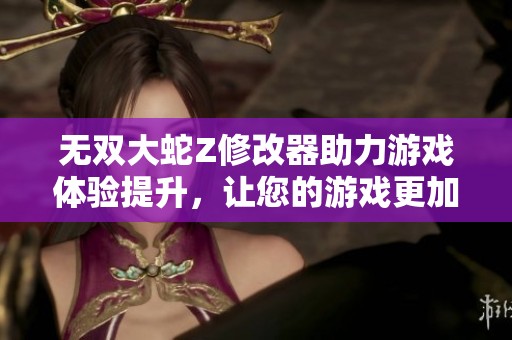 无双大蛇Z修改器助力游戏体验提升，让您的游戏更加精彩纷呈