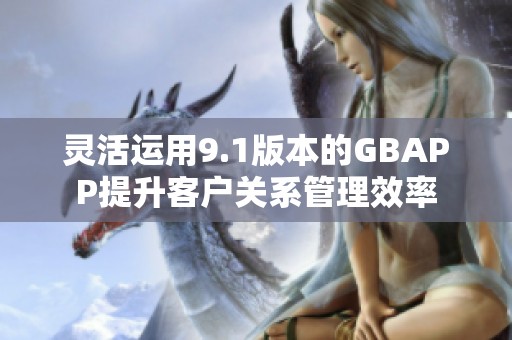 灵活运用9.1版本的GBAPP提升客户关系管理效率